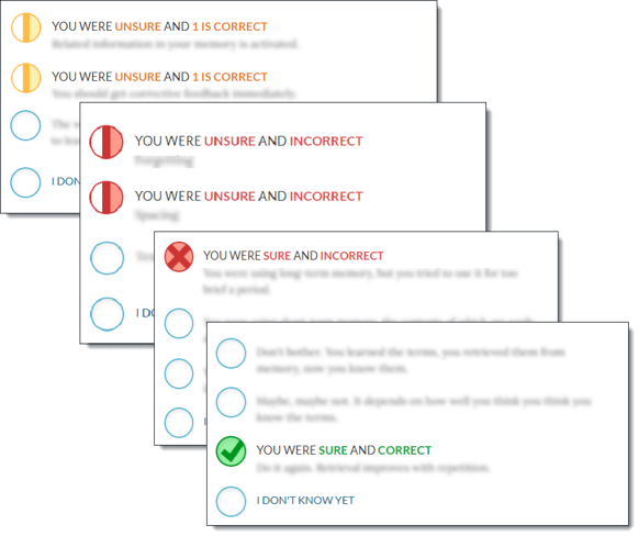 Immediate Feedback
